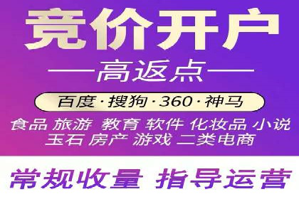 高效SEM托管公司案例对比分析